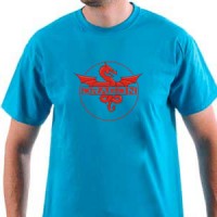  Dragon (Kineski zmaj) | Zmaj